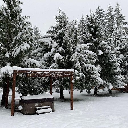 Вілла Bear'S Den Hideaway With Hot Tub Ашфорд Екстер'єр фото